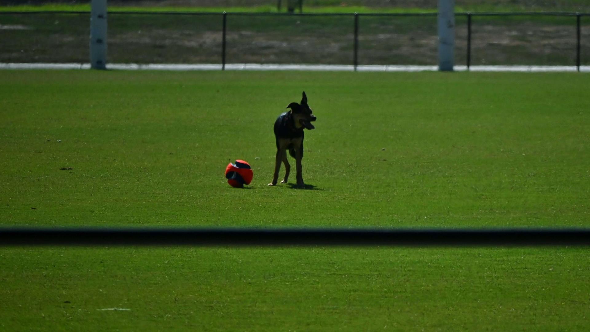 Solar panels on roof of rural house